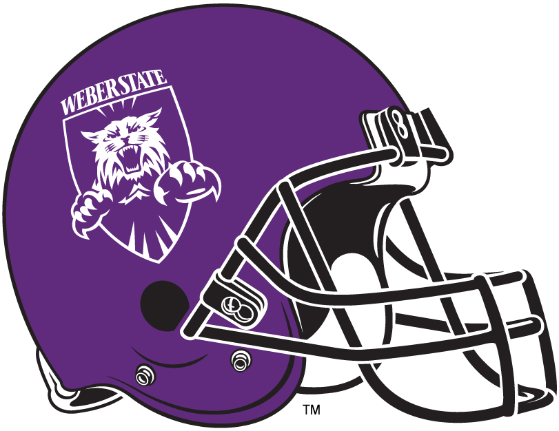 Weber State Wildcats 2006-2011 Helmet Logo diy DTF decal sticker